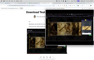 Loom Video Downloader screenshot 3
