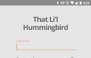 That Li'l Hummingbird screenshot 1