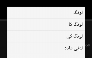 English to Urdu Dictionary screenshot 1