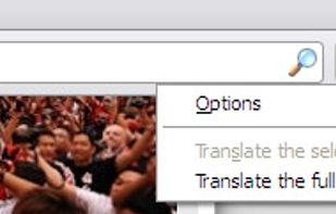 Google Translator for Firefox screenshot 3