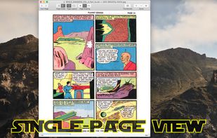 Single–page view