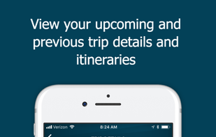 Greyhound screenshot 3