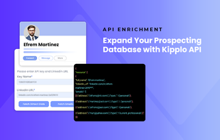 Kipplo API Enrichment Image