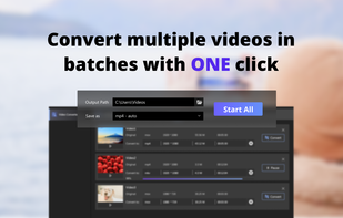 Duo Video Converter screenshot 1