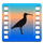 Curlew icon