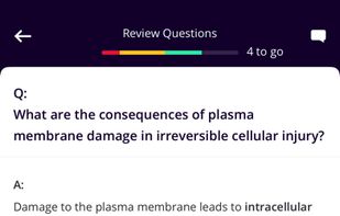 Firecracker screenshot 1