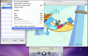 SWF & FLV Player screenshot 1