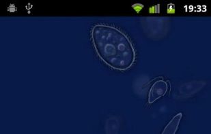 SwampWater Live Wallpaper screenshot 1