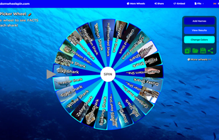 Shark Picker Wheel - shows facts about sharks