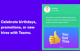 Teamo.team screenshot 3