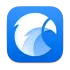 Eagle  icon