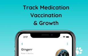 Monkoodog screenshot 1