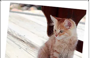 Image resizing and rotation