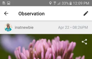 iNaturalist screenshot 1