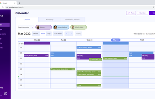 Team shared calendar