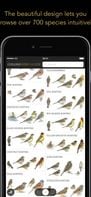 Collins Bird Guide screenshot 1