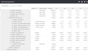 Opex Expenditure Annual Planning