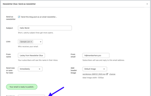 Newsletter Glue screenshot 2