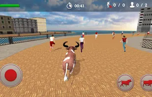 Wild Bull 2019 - City Discord screenshot 3