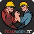 Teamwork.tf icon