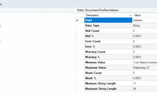 Data profiling fields
