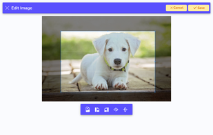 Custom Calendar Maker screenshot 2