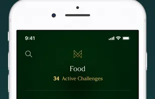 MirrorMirror Challenge screenshot 1