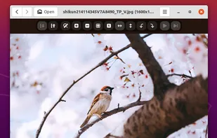 ParaPara screenshot 1