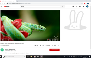 YouTube Rabbit Hole screenshot 1