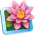LilyView icon