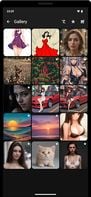 Gallery Screen