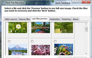 Flash File Recovery screenshot 1