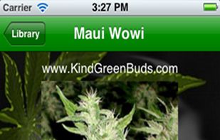 Marijuana Handbook screenshot 2