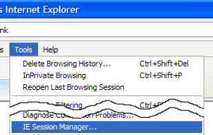 IE Session Manager screenshot 1