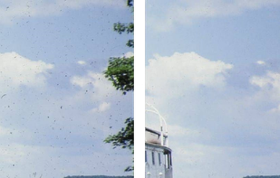 Dust spot removal sample