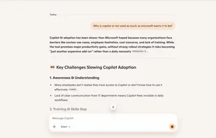 Microsoft Copilot screenshot 1