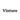 Vinture icon