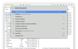 DoubleXplorer screenshot 1