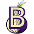 Tor Bridges Collector icon