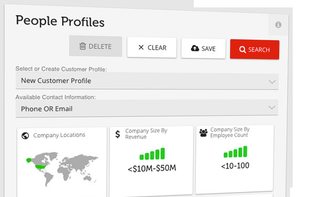 Visual Ideal Customer Profiles target leads
