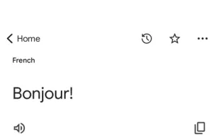 Google Translate screenshot 1