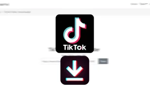 TikTok video downloader.