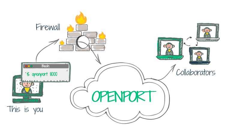 Openport: Easy and secure reverse SSH | AlternativeTo