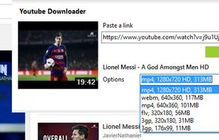 Video Downloader