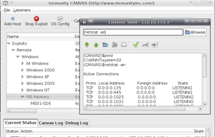 Immunity Debugger screenshot 1