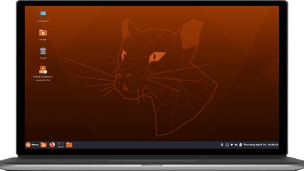 Ubuntu Cinnamon screenshot 1