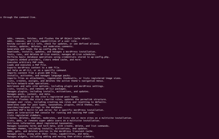 WP-CLI screenshot 1