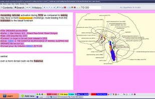 SuperMemo for Windows screenshot 2