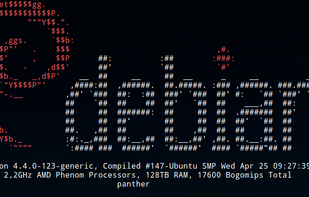 linuxlogo screenshot 1