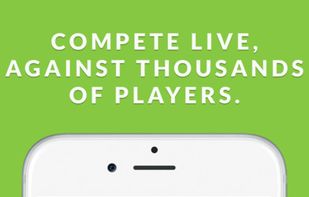 Fleetwit screenshot 3